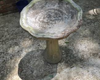 Bird Bath
