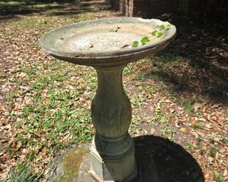 Bird Bath