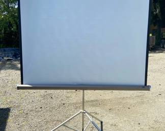 Huge Vintage DaLite Picture King Projector Screen