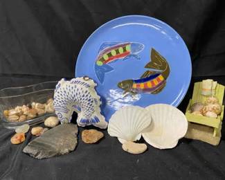 Rocks Shells Fossil And Seaside Decor