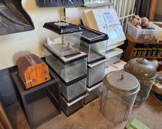 Reptile containers