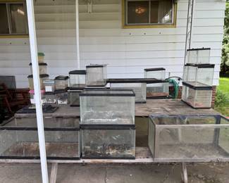 More reptile cages