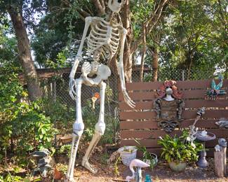This 12 ft skeleton is located at my house off of Sarno, Melbourne Florida deciding to sell. $150