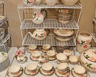 Large selection of Desert Rose