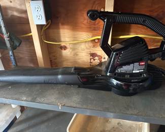 Leaf blower