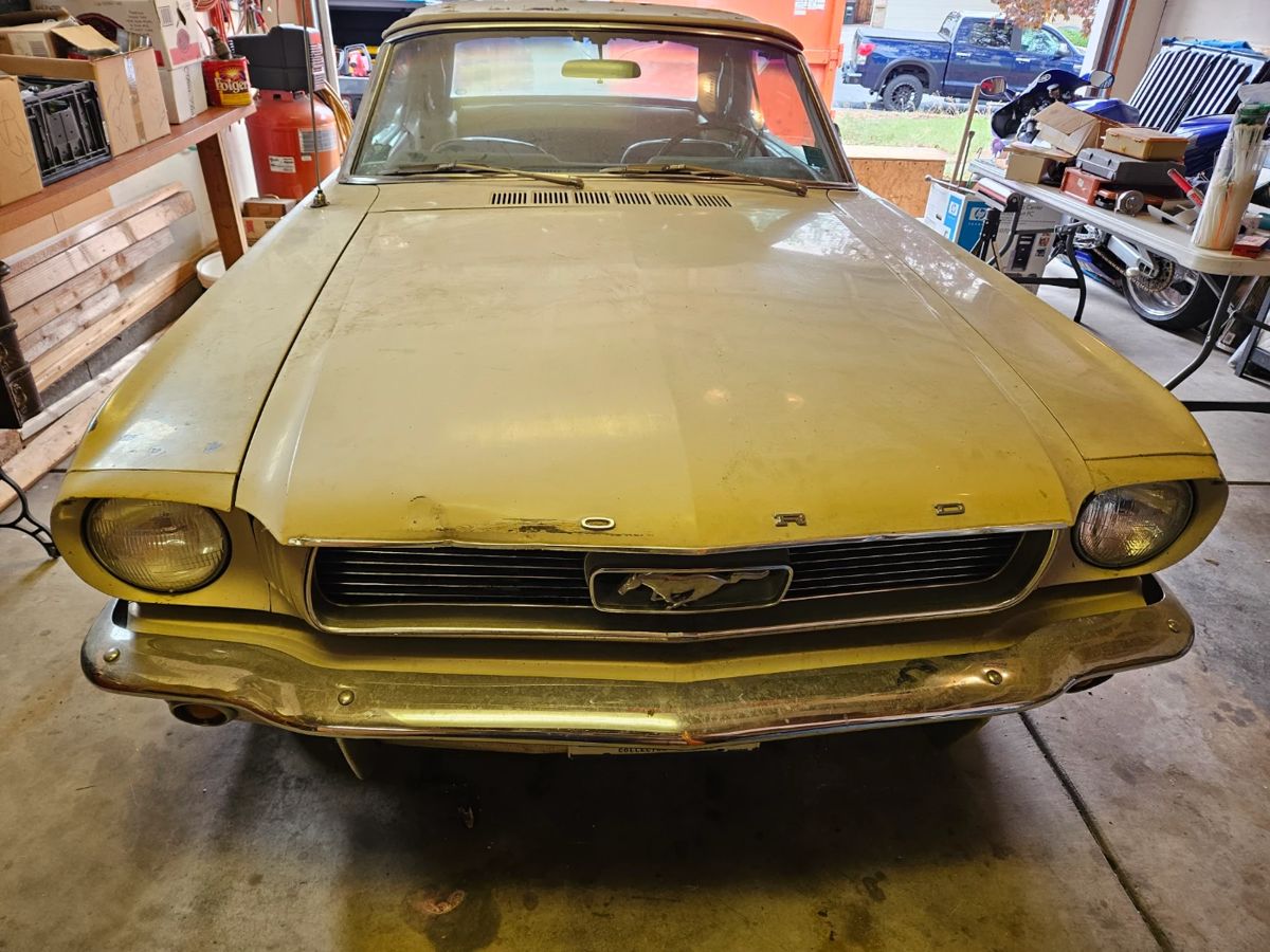 1966 Mustang