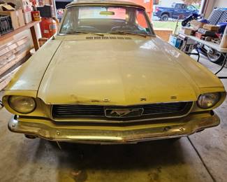 1966 Mustang