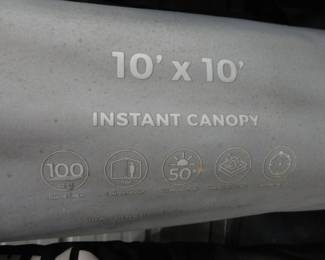 Canopy (10 x 10)