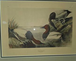 LITHOGRAPH, JOHN JAMES, AUDOBON, CANVAS BACKED DUCKS