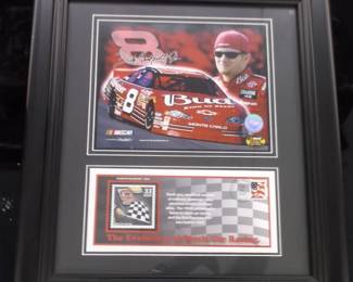 NASCAR #8 picture