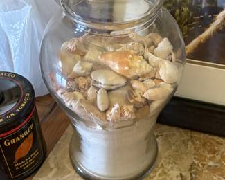 Collectible Shells