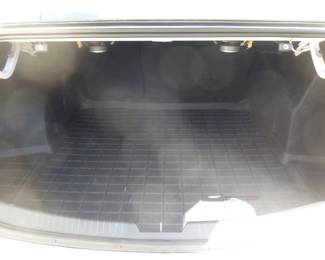 Inside trunk