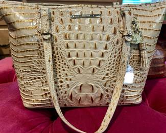 Brahmin