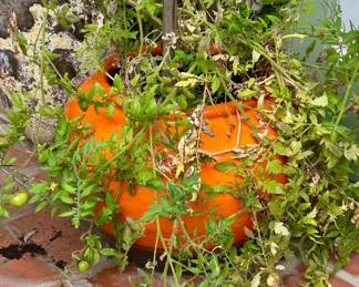 Beautiful large orange outdoor pots
