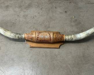 Western Steer Horn Mount With Custom Leather Work