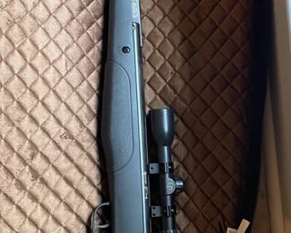 Crossman Pellet Gun with case