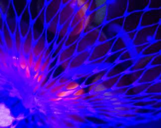 Vintage marbles some uranium