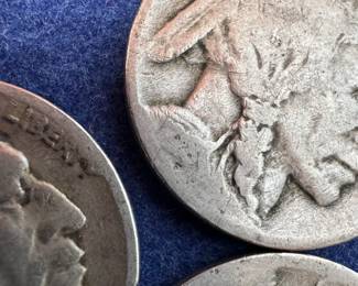 BUFFALO NICKEL COLLECTION IN WHITMAN BOOK AND TWO TUBES