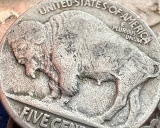 BUFFALO NICKEL COLLECTION IN WHITMAN BOOK AND TWO TUBES