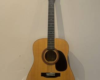 Hohner HW220 Acoustic Guitar w/ Gig Bag
