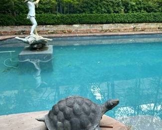 Turtle fountain 😀
