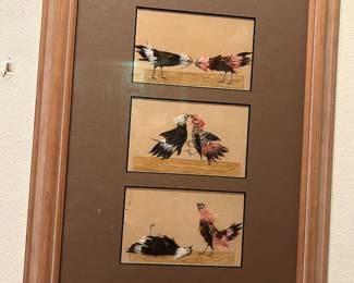 Feathered cock fighting art