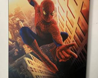 Spiderman 2002 Zigzag Poster, Germany on Board