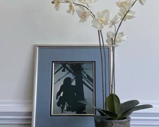 Grey Themed Decor