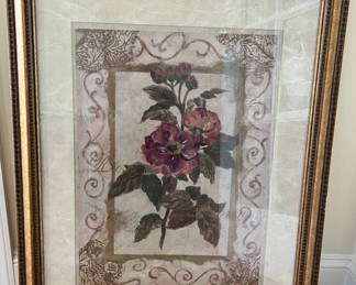 Rose Of Provins