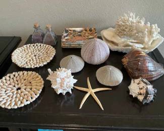 Shell Decor Lot