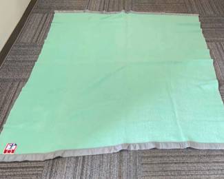 Vintage Seafoam Colored San Luis Blanket