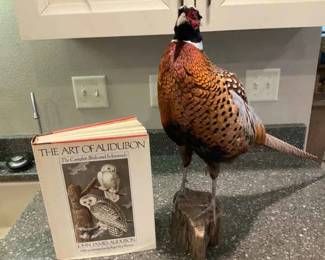 The Art of Audubon by Roger Peterson a Taxidermy Pheasant