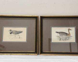 The Birds Framed Prints
