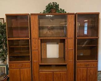 Entertainment Center