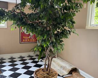 Silk Tree