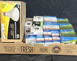 LIGHTBULBS