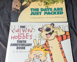 CALVIN AND HOBBS