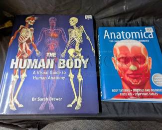THE HUMAN BODY