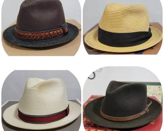 Stetson and other Men's fedora's