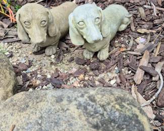 Awe, little Dachsunds