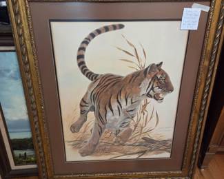 #40 "Solitary" Bengal Tiger 33x39 Matted & Framed Full Color Print` $150.00