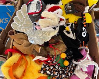 halloween costumes for cats