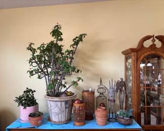 plants vases curio cabinet decor