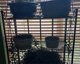 live plants