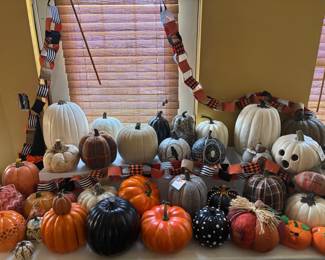 35 pumpkins and counting!!