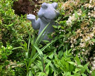 Garden frog