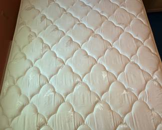 The mattress is in excellent condition