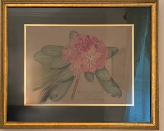 Framed "Rhododendron Series Aa2" print by Marian O Lewis