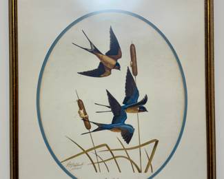 Framed print "Barn Swallow" signed by Guy Coheleach