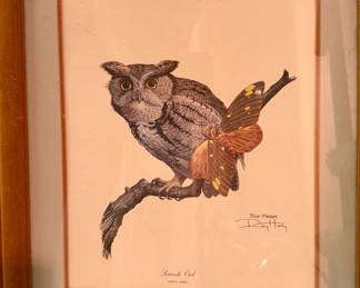 Framed print "Screech Owl" signed by Ray Harm